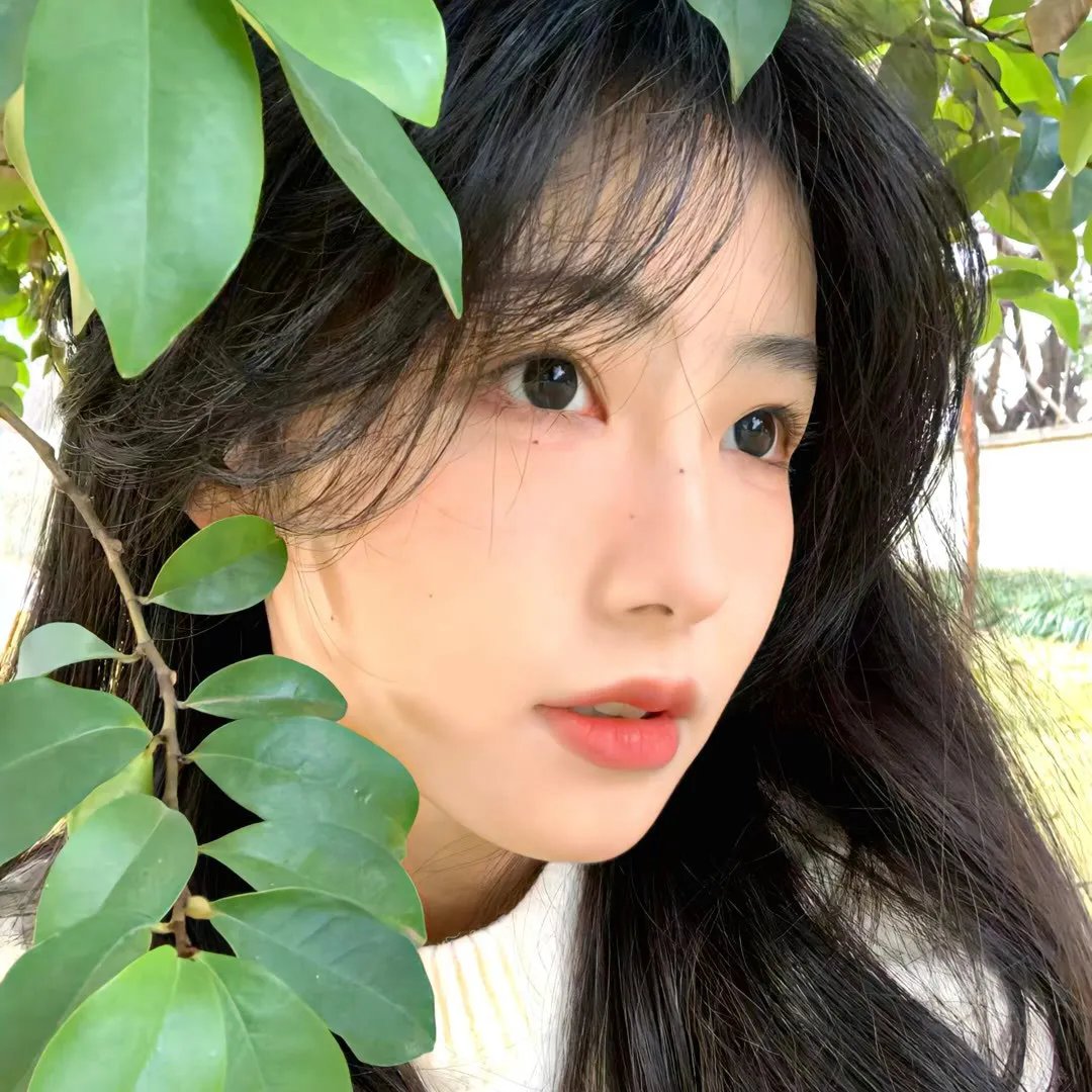 寻凶